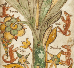 Dain, Durathror, Dvalin et Duneyr yggdrasil